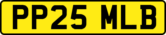 PP25MLB