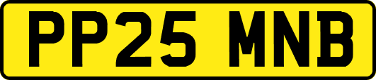 PP25MNB