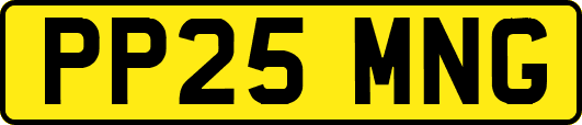 PP25MNG