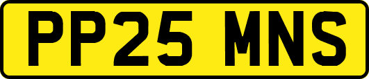 PP25MNS