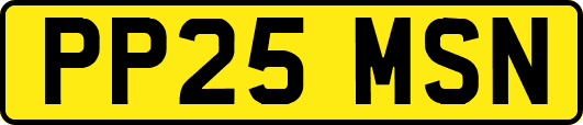 PP25MSN