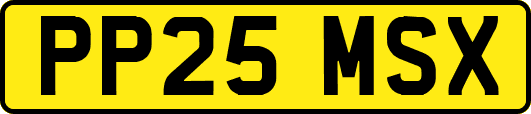 PP25MSX