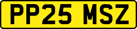 PP25MSZ