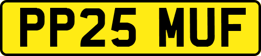 PP25MUF