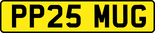 PP25MUG