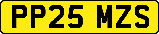 PP25MZS
