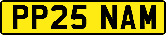 PP25NAM