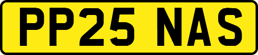 PP25NAS