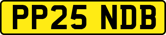 PP25NDB