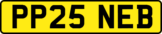 PP25NEB