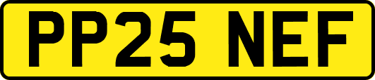 PP25NEF