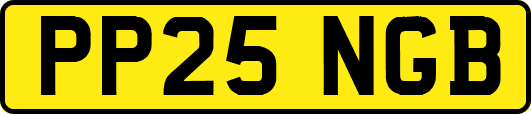 PP25NGB