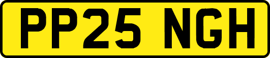 PP25NGH