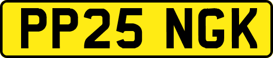 PP25NGK