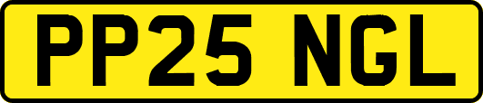 PP25NGL