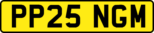 PP25NGM