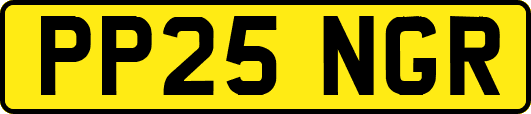 PP25NGR