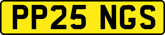 PP25NGS