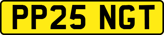 PP25NGT