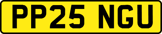 PP25NGU