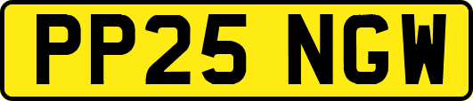 PP25NGW