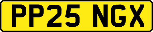 PP25NGX