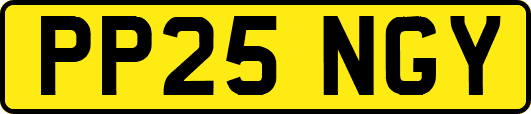 PP25NGY