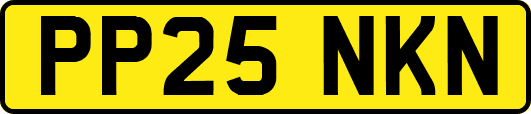 PP25NKN