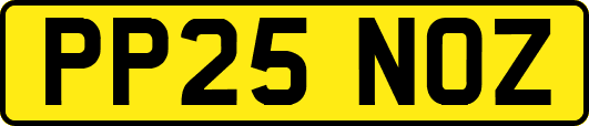 PP25NOZ