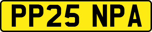 PP25NPA
