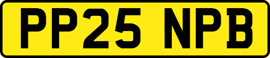 PP25NPB
