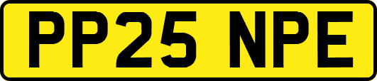 PP25NPE
