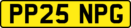 PP25NPG