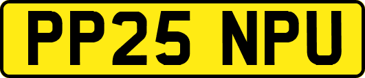 PP25NPU