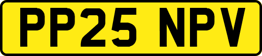 PP25NPV