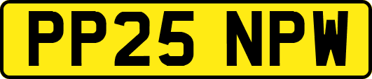 PP25NPW