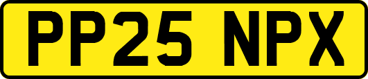 PP25NPX