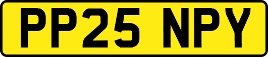 PP25NPY