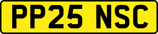 PP25NSC