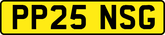 PP25NSG