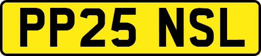 PP25NSL