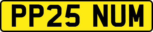 PP25NUM