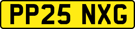PP25NXG