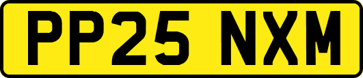 PP25NXM