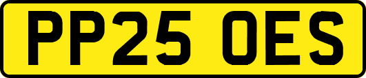 PP25OES