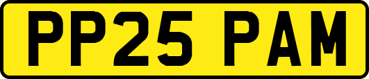 PP25PAM
