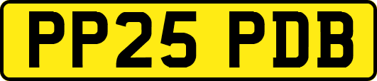 PP25PDB