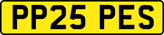 PP25PES