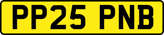 PP25PNB
