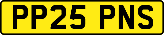 PP25PNS